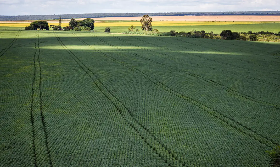 COP30: agronegócio brasileiro quer aparecer como parte da solução para a crise climática - Imagem do artigo original