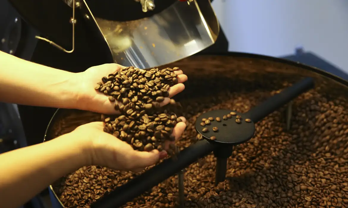 Exportações do agronegócio brasileiro alcançam recorde de US$ 15,6 bilhões em julho - Imagem do artigo original