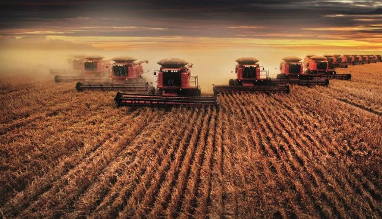 Fundo Riza Terrax negocia fazenda de 3,6 mil hectares no Tocantins por R$ 108 milhões - Imagem do artigo original