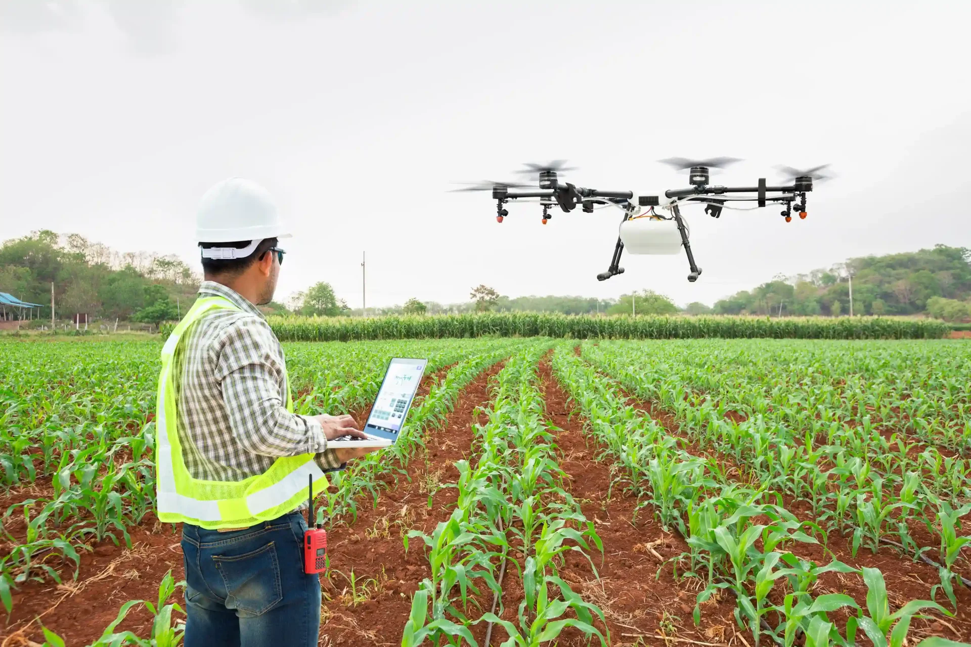 Big data impulsiona Agricultura 4.0 e redefine produção no campo - Imagem do artigo original